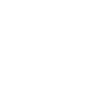 Sticks and Stones Workshop